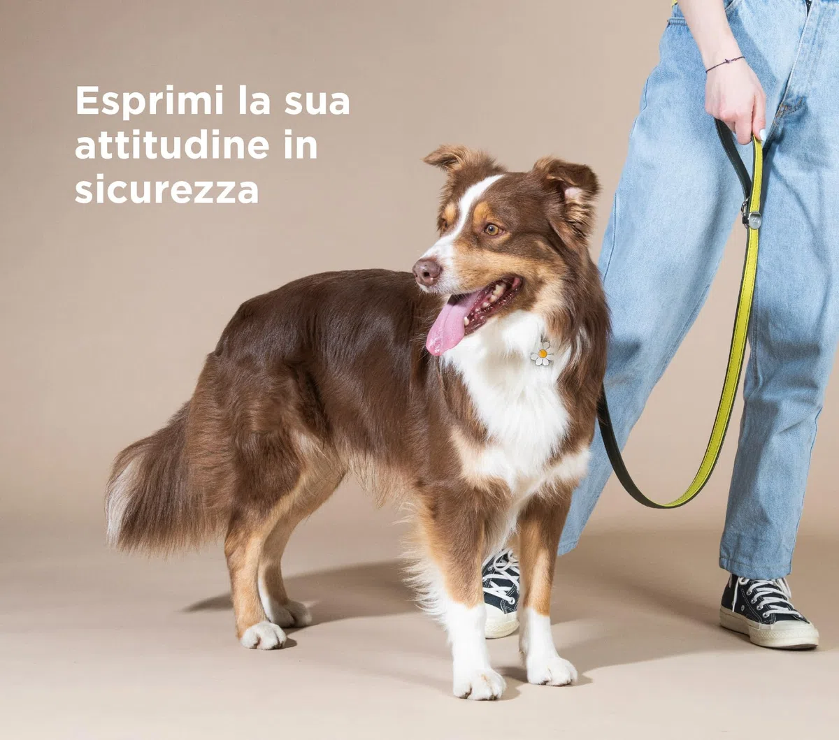My Family Medaglietta per Cane Personalizzata, A Forma di Margherita, Targhetta Cane con Incisione Gratis, Smaltata a Mano in Metallo, Collezione Charms
