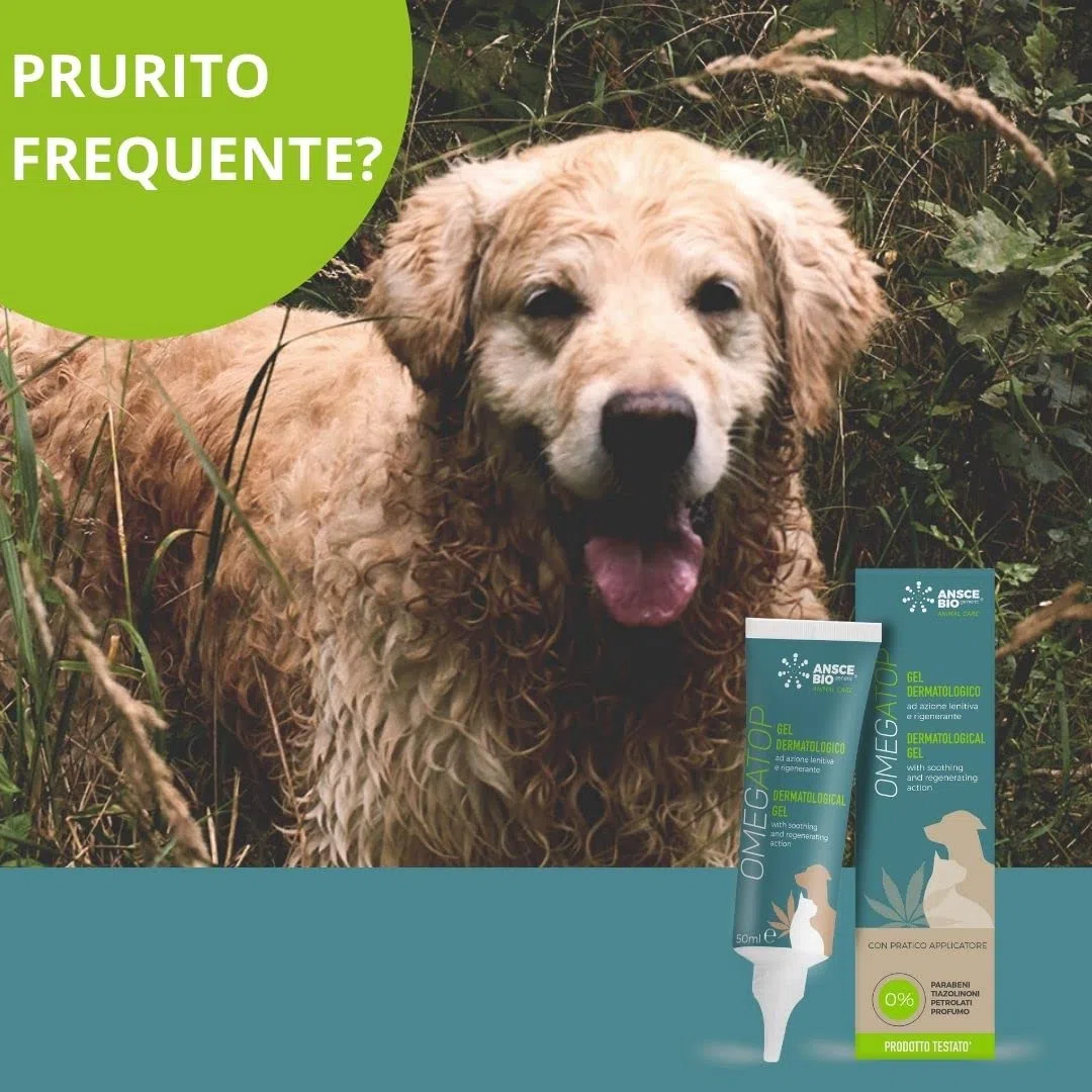 OMEGATOP Gel Dermatite Cane per Prurito, Rossore e Secchezza | 50ml | Lenitivo ed idratante anche per gatti, con acido ialuronico e ceramidi per la pelle. Formula ad applicazione facile e rapida