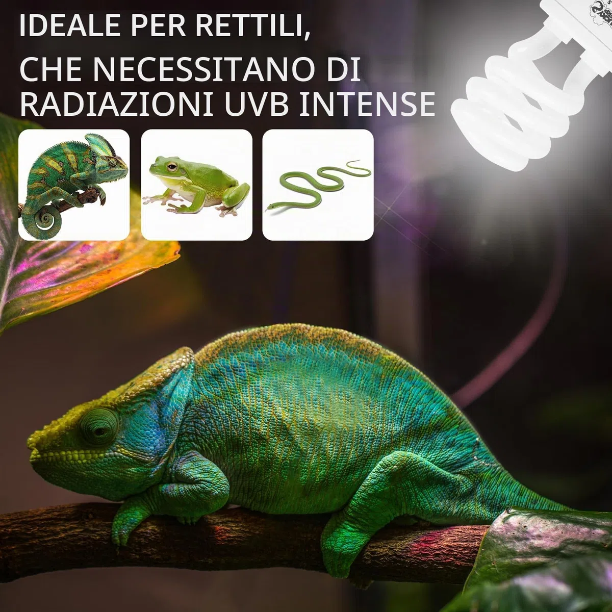 LUCKY HERP UVB terrario, lampada rettile UVA e UVB 150 E27 13 W UVB 5.0, adatta per tartarughe, polli, cani, gabbiani e altri anfibi e rettili