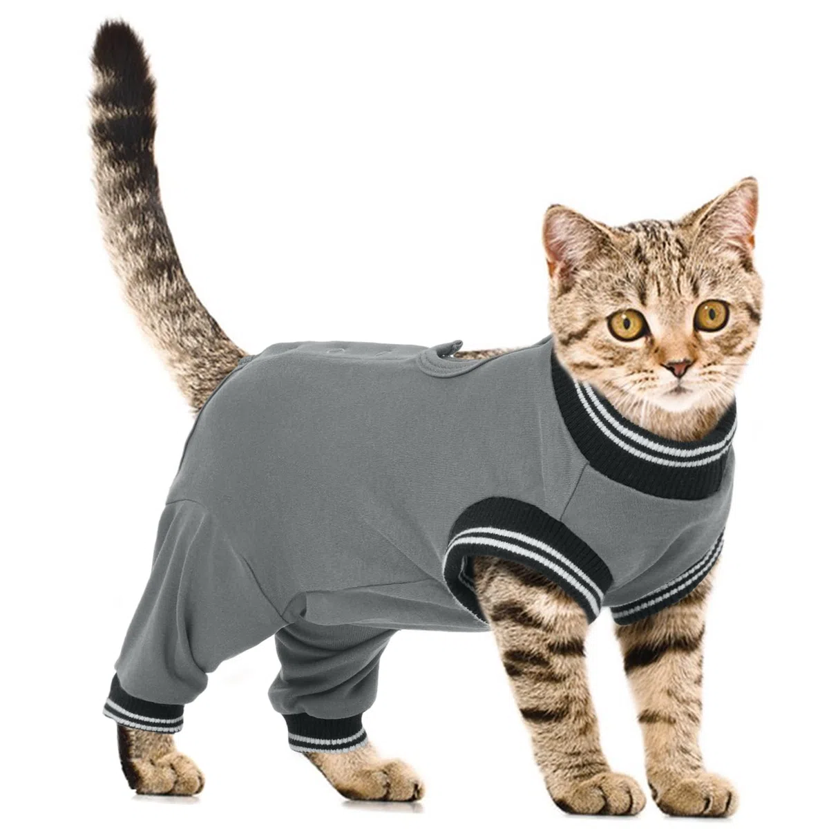 PUMYPOREITY Tuta Post-Operatoria Gatto Femmina, Body Chirurgico Gatto Grigio M