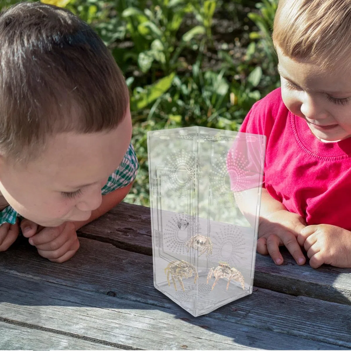 Habitat per ragni che saltano, terrario per piccoli rettili, 30 x 15 x 15 cm, recinzione completamente trasparente, design ventilato sicuro, dimensioni compatte, ideale per bambini, adulti