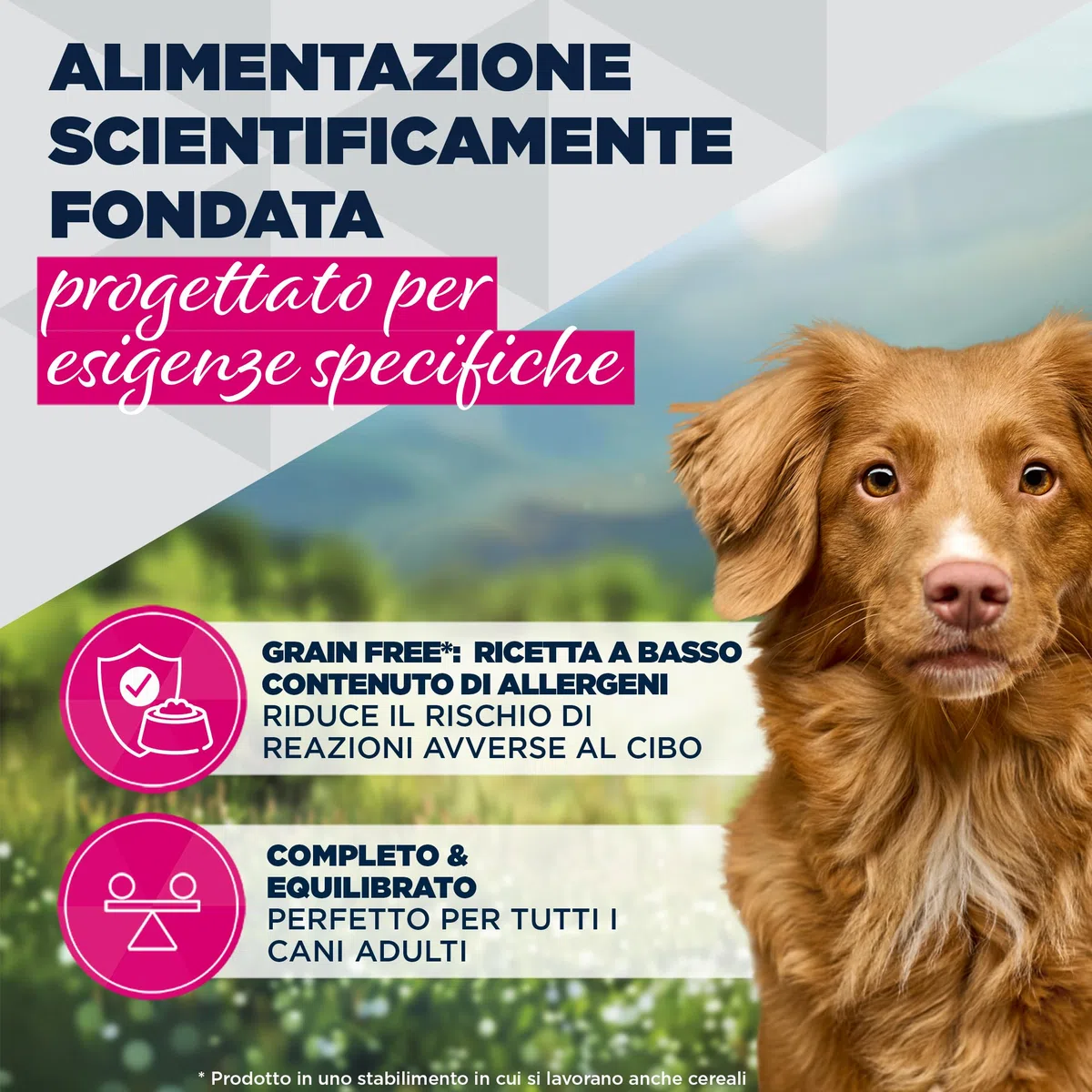 EUKANUBA Special Care cibo umido per cani adulti, Mono-Protein all’anatra 6 x 400 g