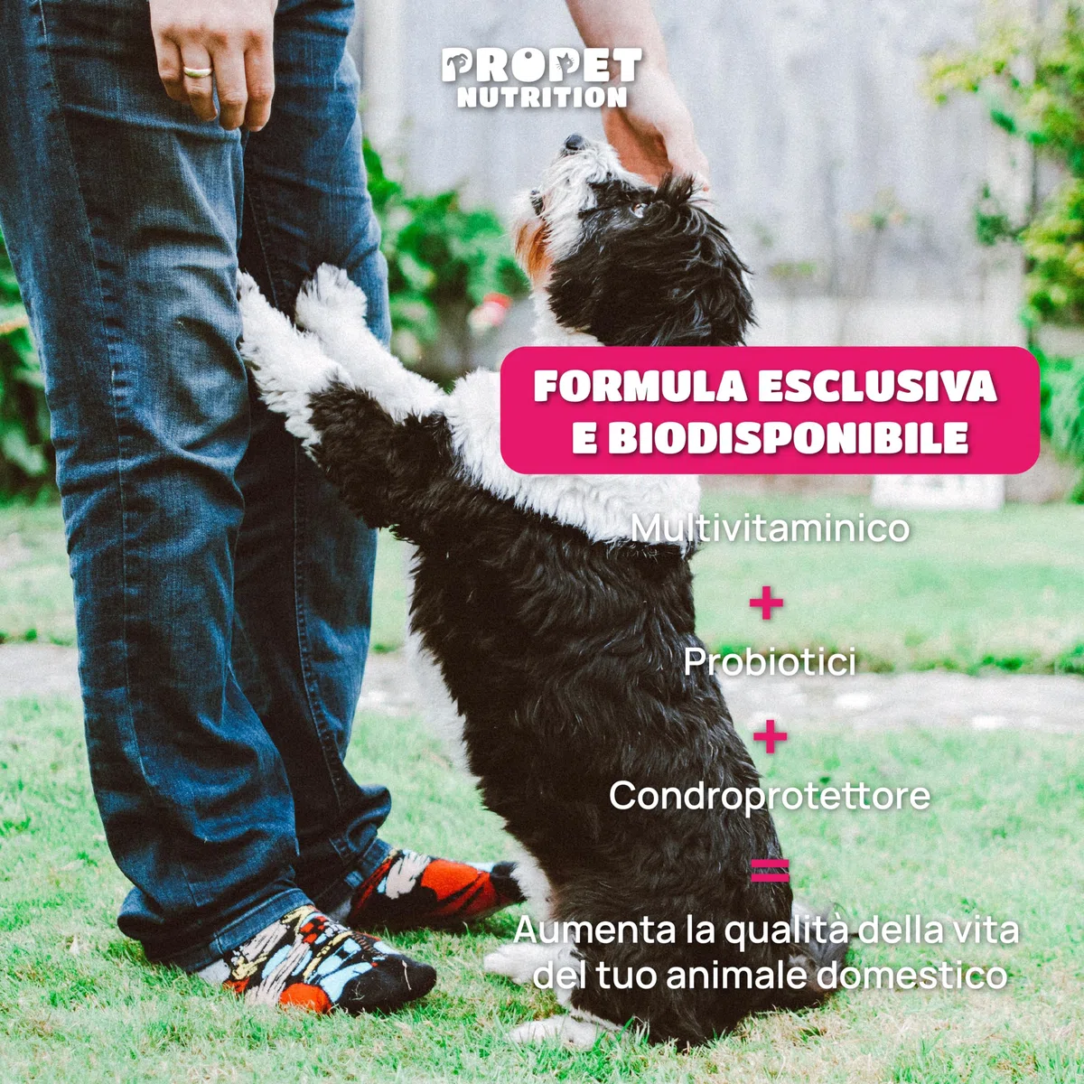 Vitamine per Cani e Gatti 20 in 1. Omega 6, Probiotici e Glucosamina. Integratore Completo Ricco di Vitamine A, B, C, H. Sistema Immunitario, Digestivo, Ossa, Articolazioni e Pelo. 100% Natural