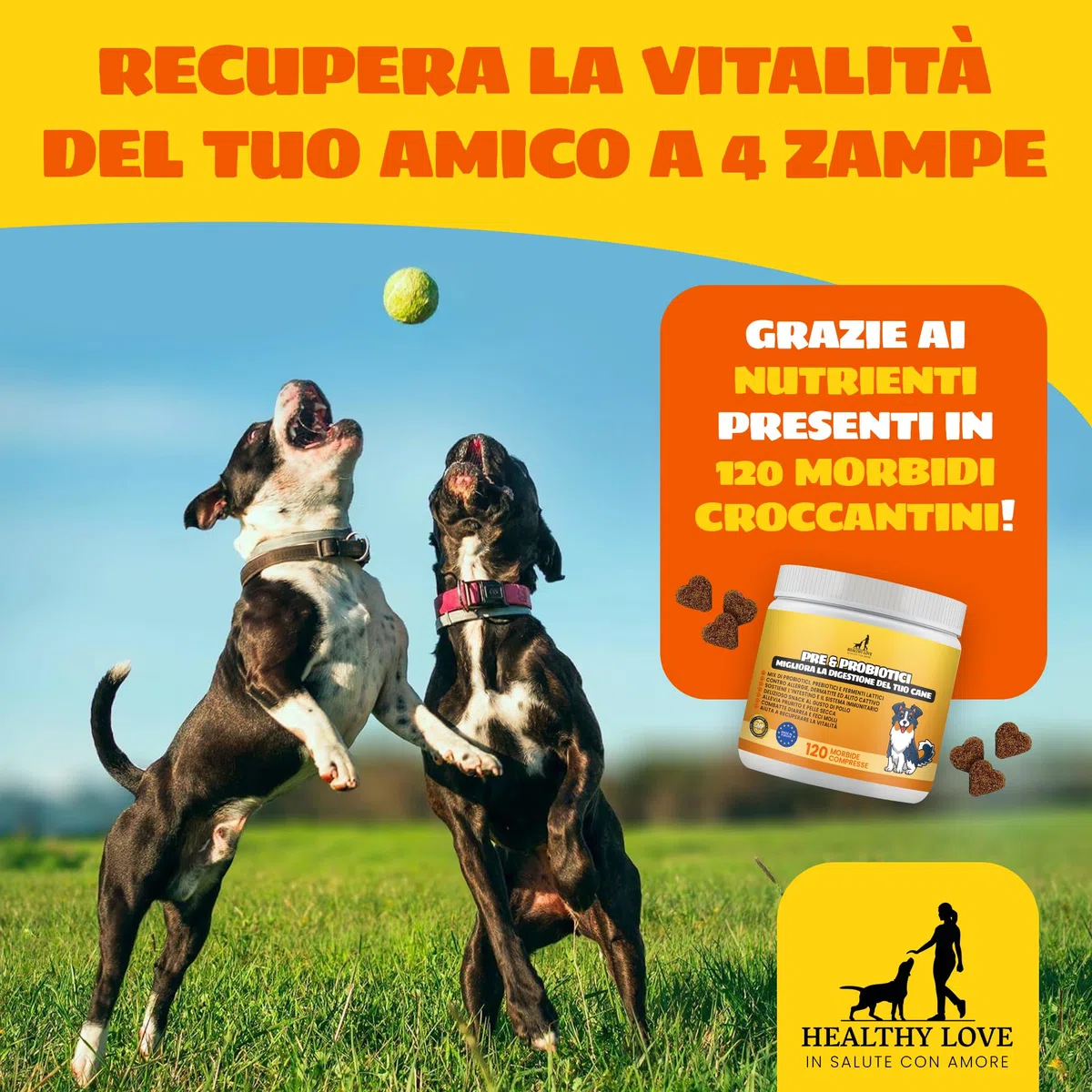 HEALTHY LOVE Probiotici per Cani, 120 Morbidi Snack Salutari, Appetibilità Unica, Fermenti Lattici Cane Per Migliore Digestione, Ebook, Probiotici Cane Contro Prurito e Diarrea, Probiotico Cani 240g