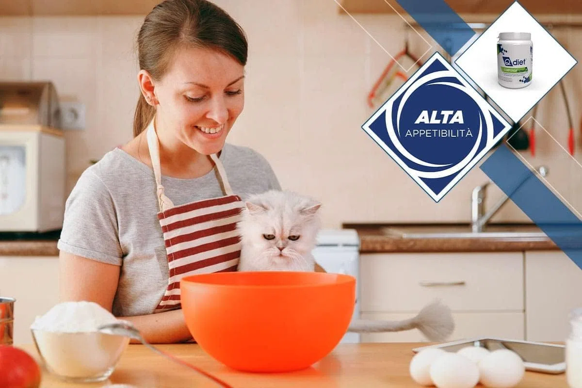 Q.Diet Compensa Ultra Cane Gatto 250g in Polvere - Mangime Complementare per Cani e Gatti Ricco di Vitamine e Minerali Ideale a Completamento delle Diete Casalinghe. NUOVA FORMULA Più Appetibile