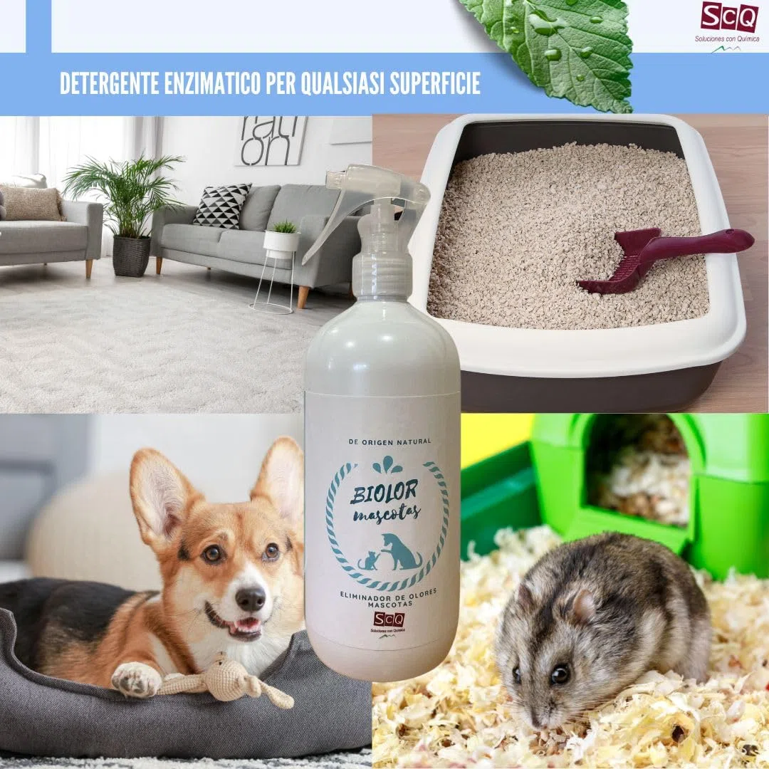 Eliminatore di odori per animali domestici istantaneo BIOLORMX 500ml | Neutralizzatore enzimatico di odori per cani e gatti | Anti-odori per cani e gatti | Rimuovi odori microbiologico per animali dom