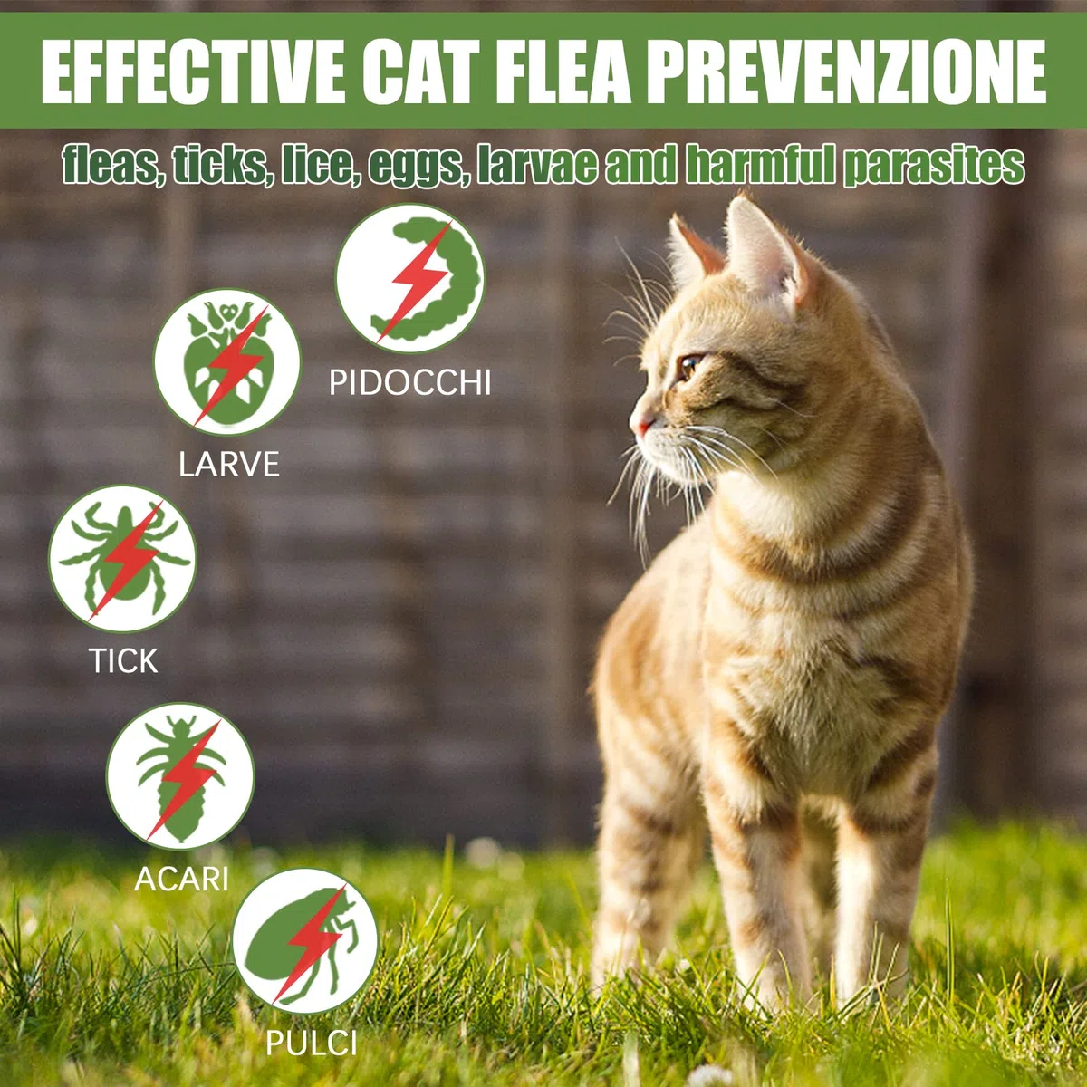 Wansiven Collare Antipulci per Gatti, Naturale Regolabile Collare Antiparassitario Antizecche 48cm