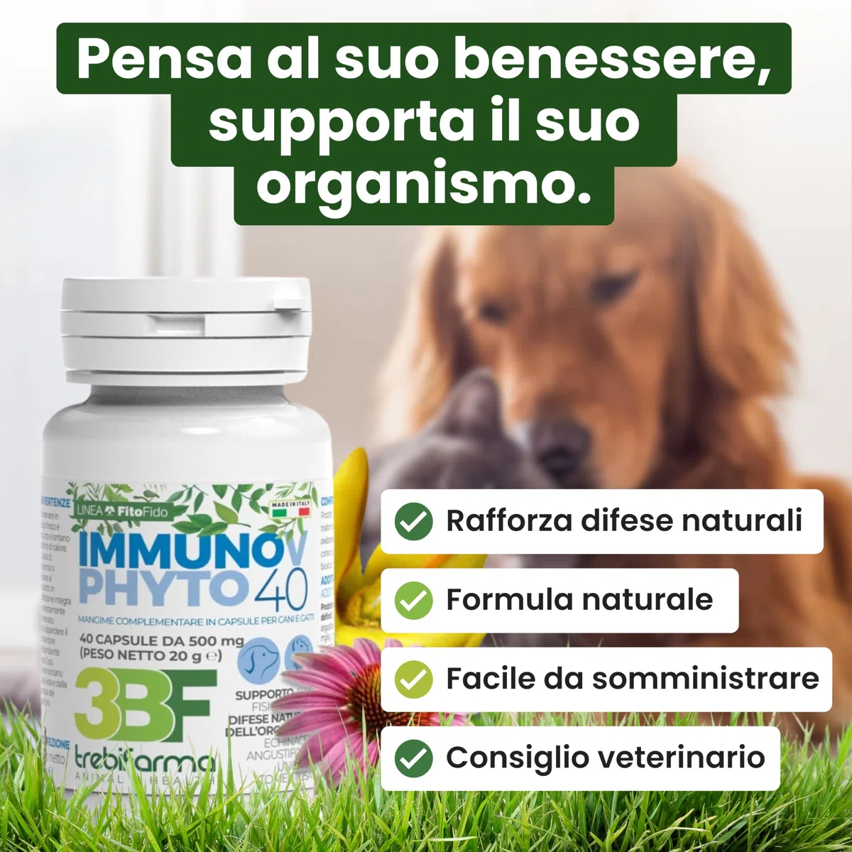 Trebifarma Immunov Phyto 40 Compresse per Cani e Gatti – Supporto Naturale al Sistema Immunitario – Mangime Complementare con Azione Immunostimolante, Facile da Somministrare