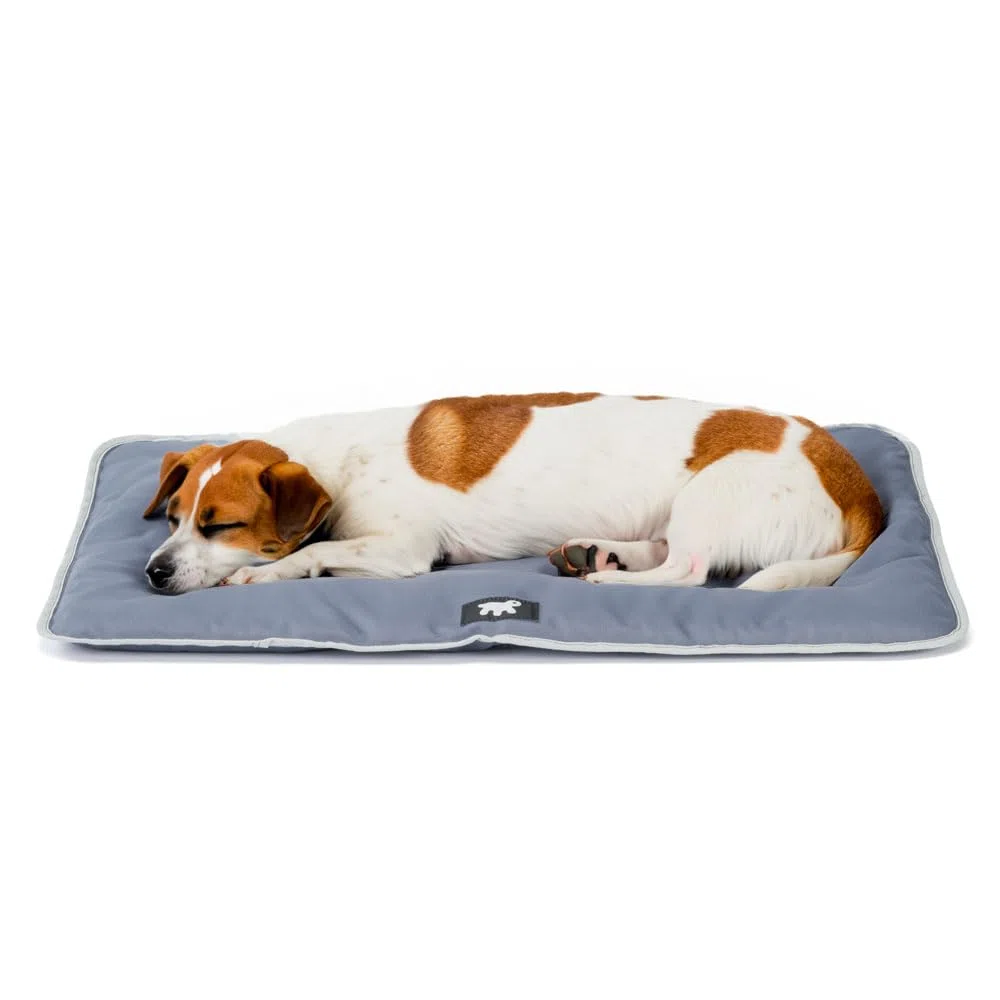 Ferplast Cuccia Cane e Gatto Antigraffio e Impermeabile, Tessuto Tecnico Resistente Tech, JOLLY Taglia Piccola, Materassino Lavabile a Mano a 30°, 65 x 48 x 3,5 cm, Grigio