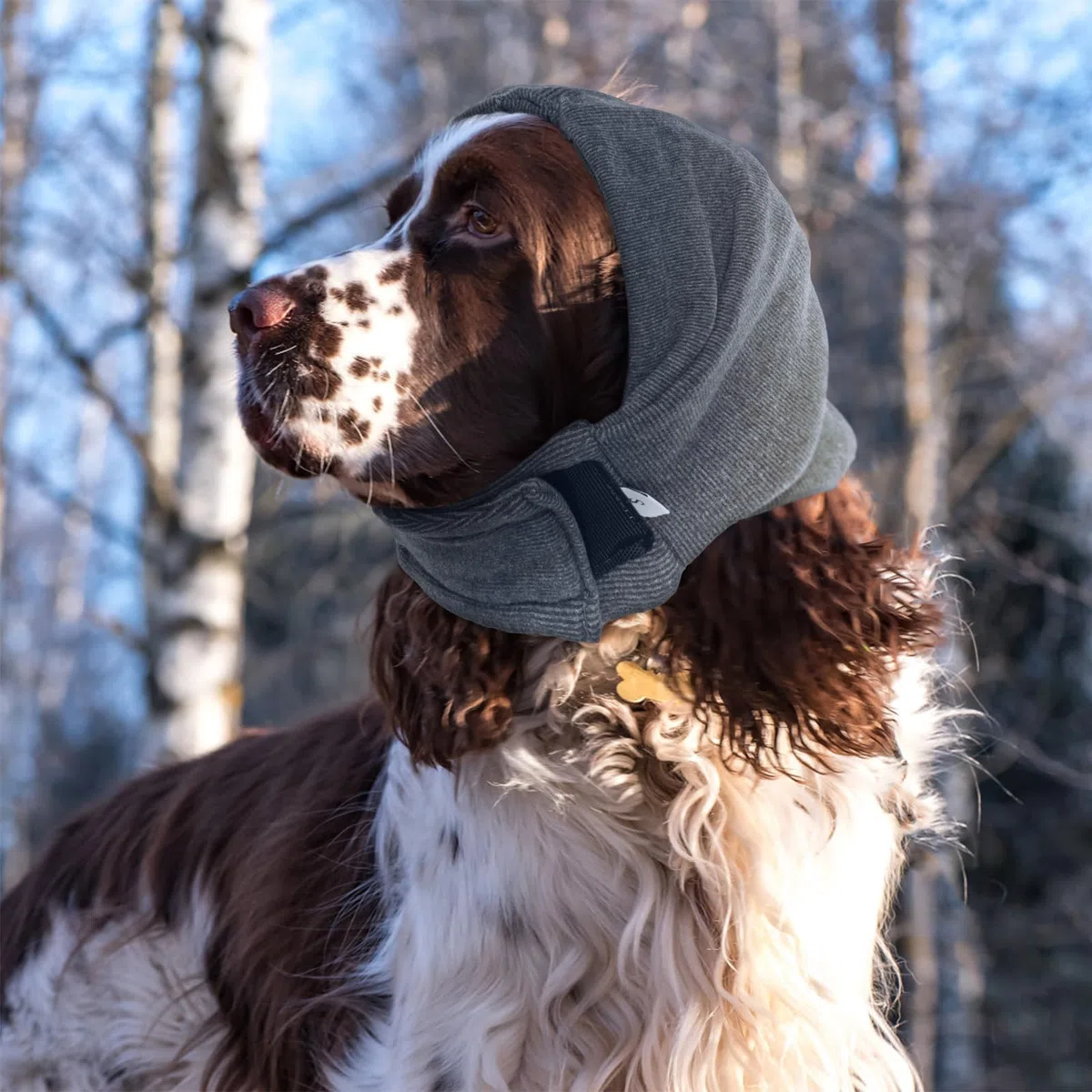 IECOii Copertura per orecchie di cane per sollievo dall'ansia, cappuccio calmante per cani regolabile per toelettatura, bagno, asciugatura, senza scuotere la testa del pet per ematoma, fuochi