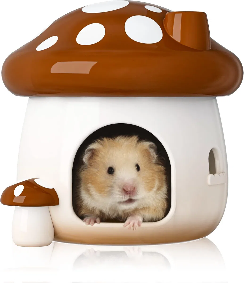 BUCATSTATE Hamster Hideout Ceramica Fungo Criceto Casa e Habitat Cool Bed Ideale per tutte le stagioni Criceto Nano Gerbils Golden Bear (Marrone-Grande)