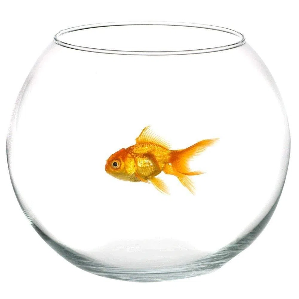 Ampolla Boccia In Vetro Trasparente 30 Cm Acquario Per Pesci Centrotavola