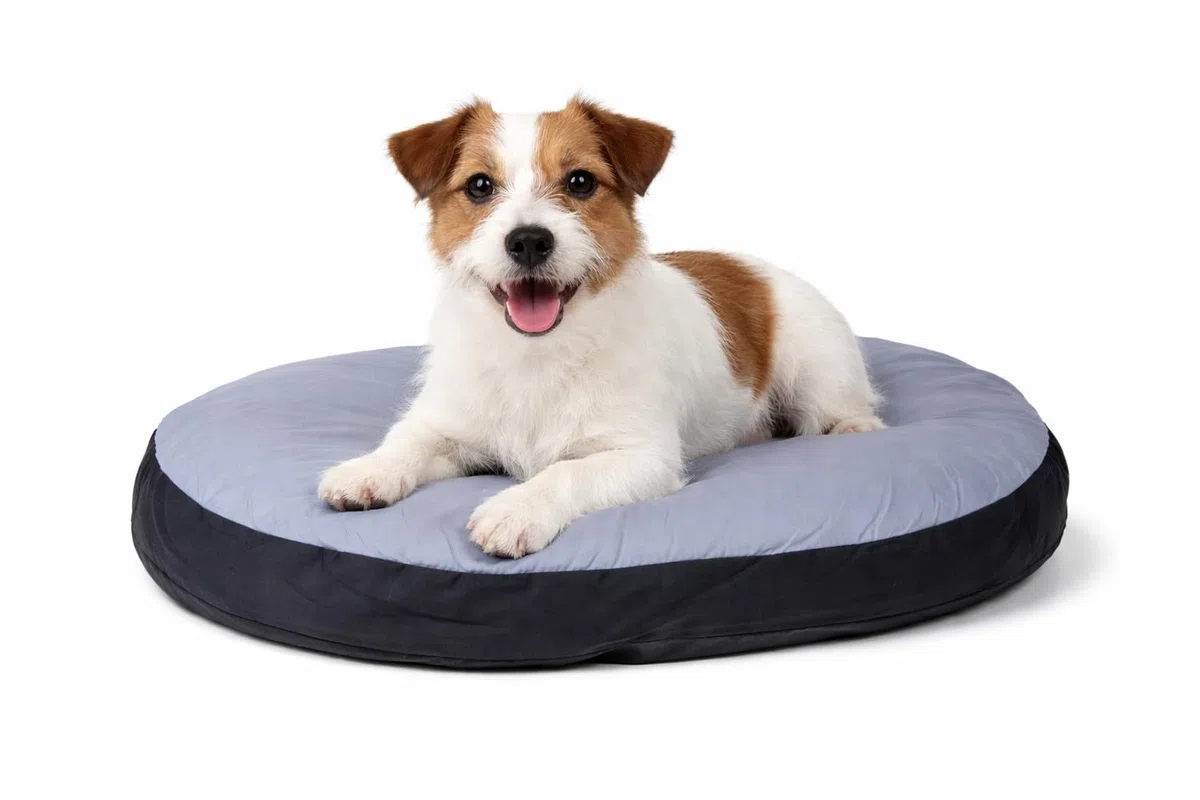 Karlie Cuscino Doc Bed, Ovale.
