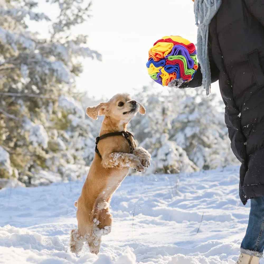 Sniffing Ball per Cani, Tappetino Snuffle Interattivo, Gioco Sfera Puzzle, Tappeto Nascondi Cibo, Addestramento per Cani di Piccola e Media Taglia