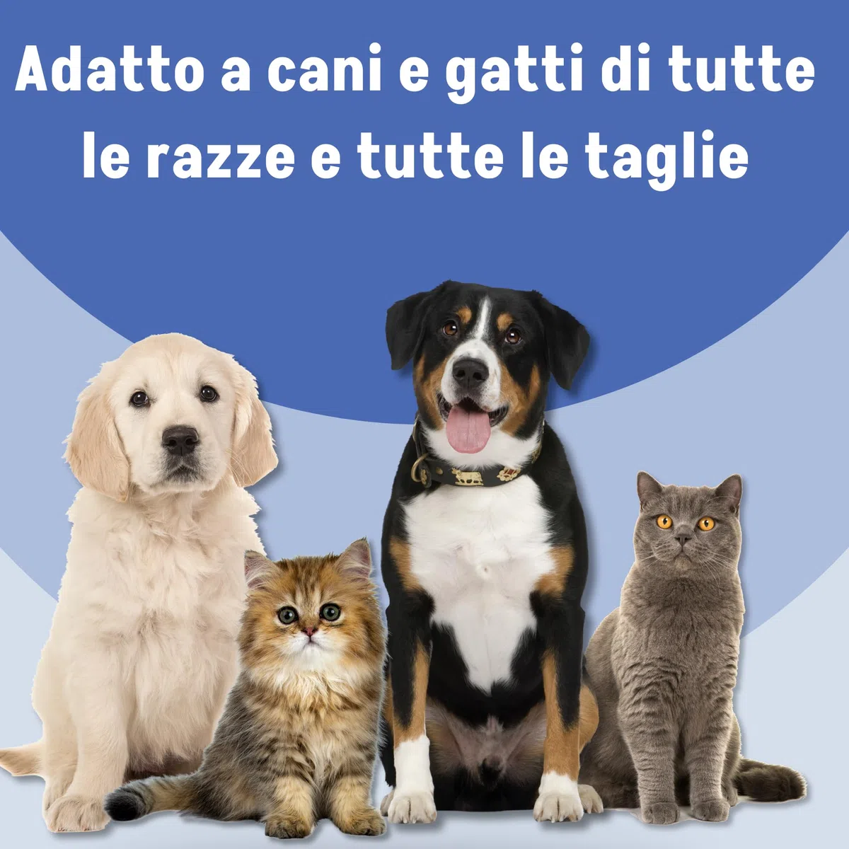 Idrovale - Sospensione Acquosa 25 ml - Igiene Oculare per Cani e Gatti - Detergente e Lubrificante - Protezione Naturale e Facile Applicazione