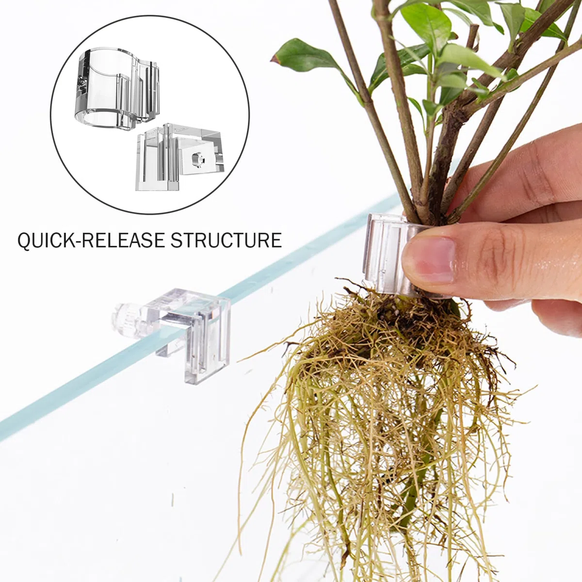 Porta piante per acquario da 12 pezzi, porta piante trasparente per acquario con design a forma di U per una facile installazione e un Aquascaping flessibile