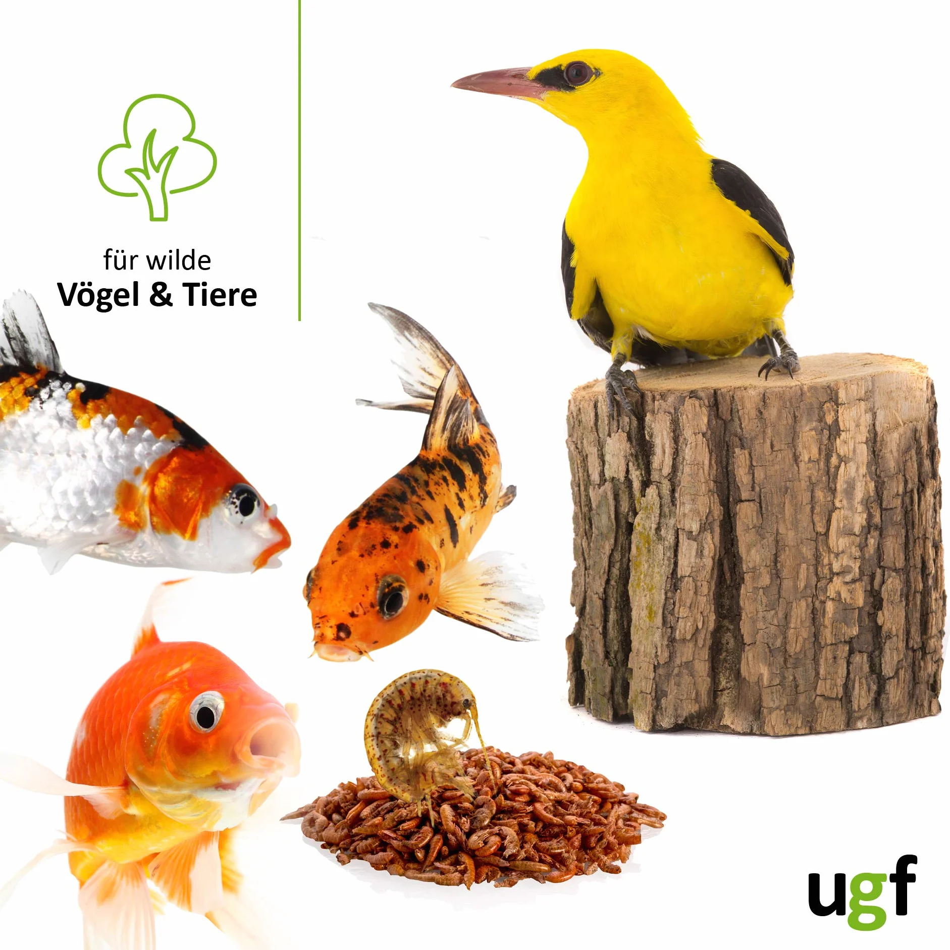 UGF - Gamberetti d'acqua dolce essiccati Premium Gammarus - 318 g in un secchio da 3 litri, cibo per tartarughe, cibo per pesci d'acquario, axolotl, criceti, ricci, koi, ratti