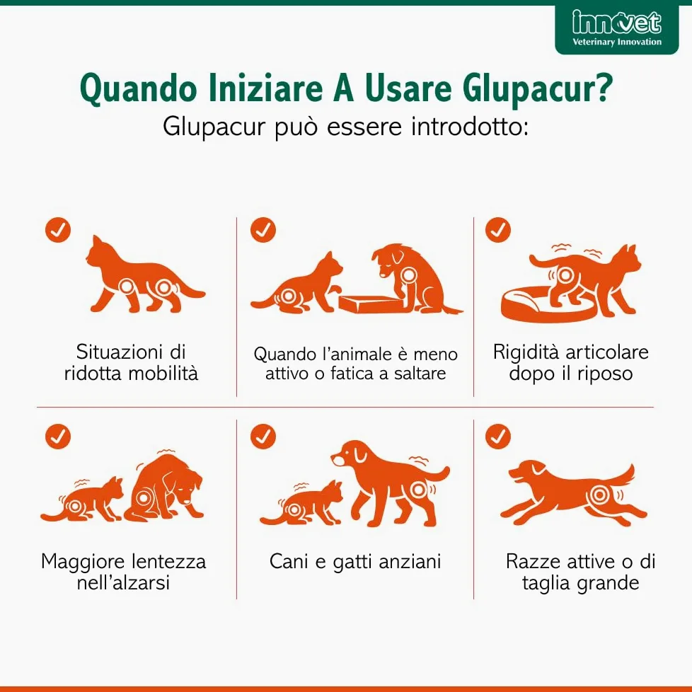 Glupacur Sollievo articolare per cani e gatti di tutte le età con PGA (Palmitoil-Glucosamina)), Estratto di curcuma longa e Vitamina E – Alimento complementare – 30 stick