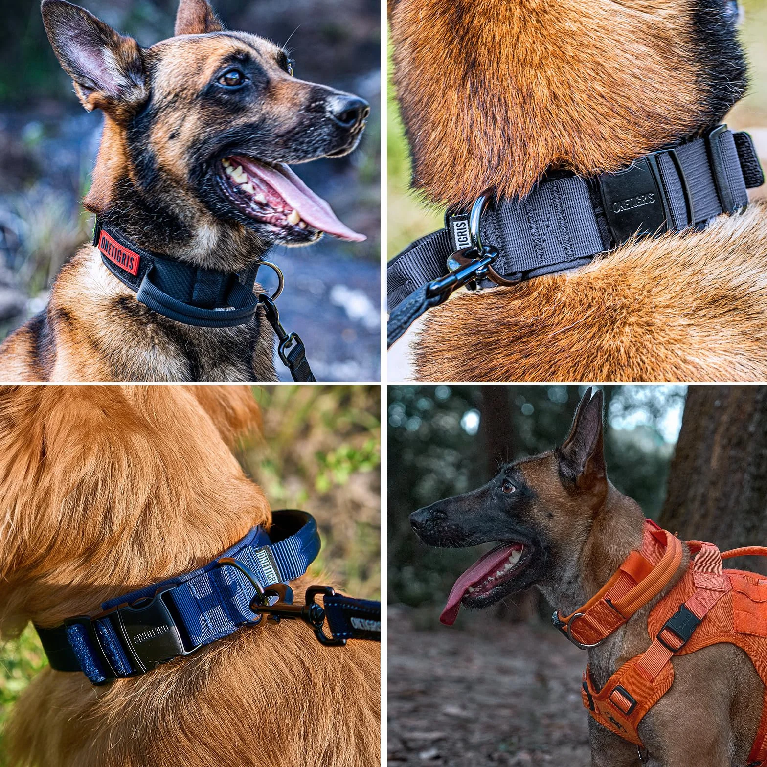 OneTigris Collare per cani con fibbia in metallo per cani (Nero, M)