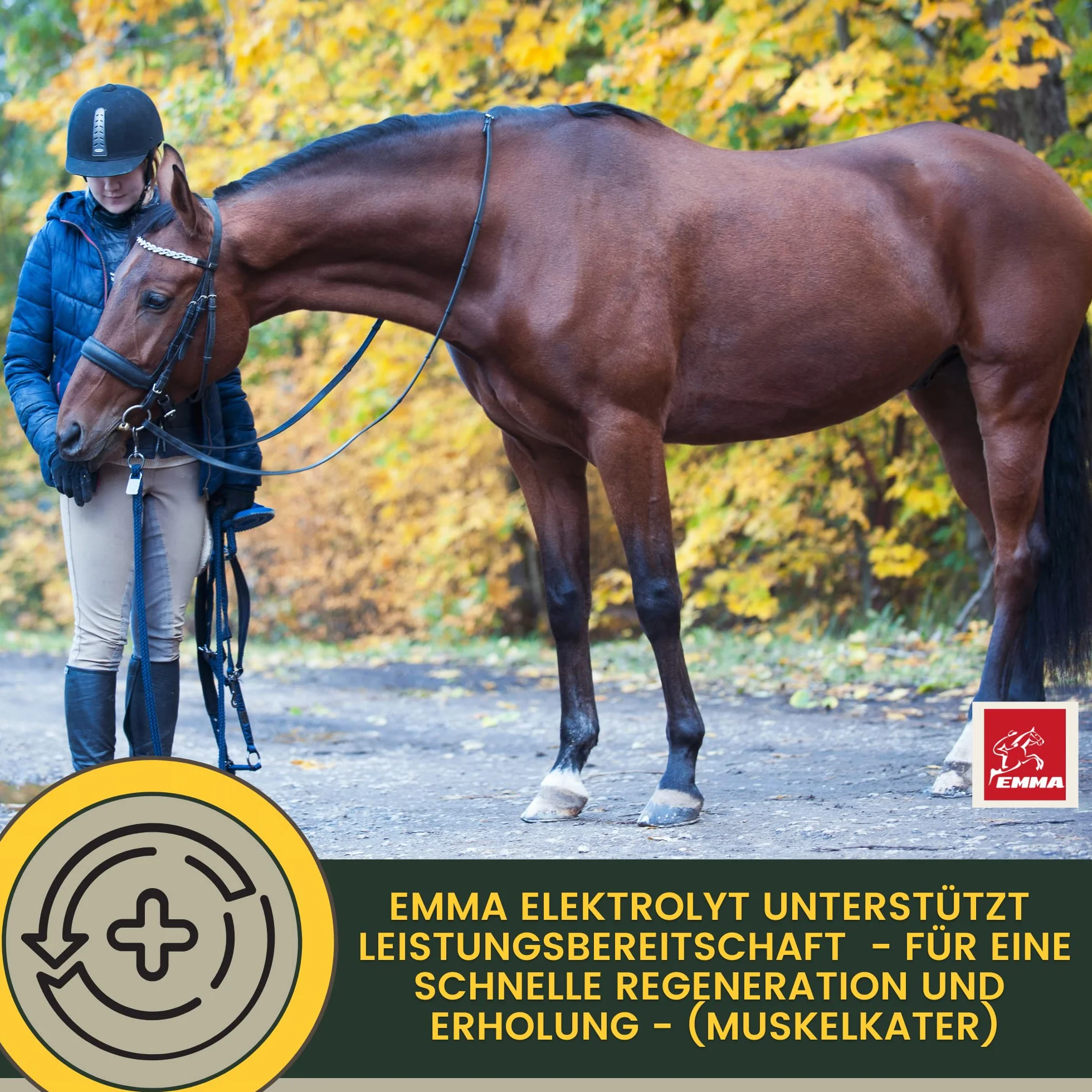 Elettroliti liquidi + pasta I elettroliti cavallo minerali vitamina B12 oligoelementi I sali di sodio magnesio cavallo I elettroliti diarrea vomito acqua sudorazione I sali minerali cavallo 1L 30ml