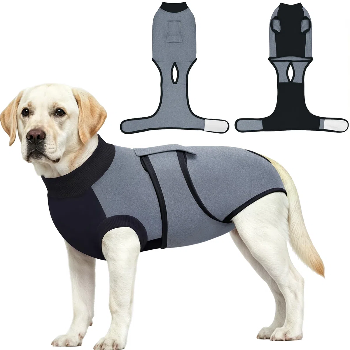 Body Cane Post Operatorio, Tuta Onesie Tutina Cane Post Operatoria per Cani Femmina Spay Maschio Neuter Pet Bodysuit Pigiama Prevenire Ferite Leccare Camicia (Grigio, XL)