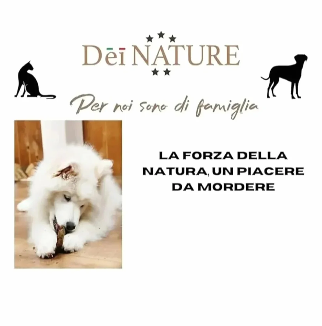Osso di Vitello XL, 30-35 cm, Set da 3 Pezzi, Snack Naturale per Cani, Masticabile per Dieta Barf