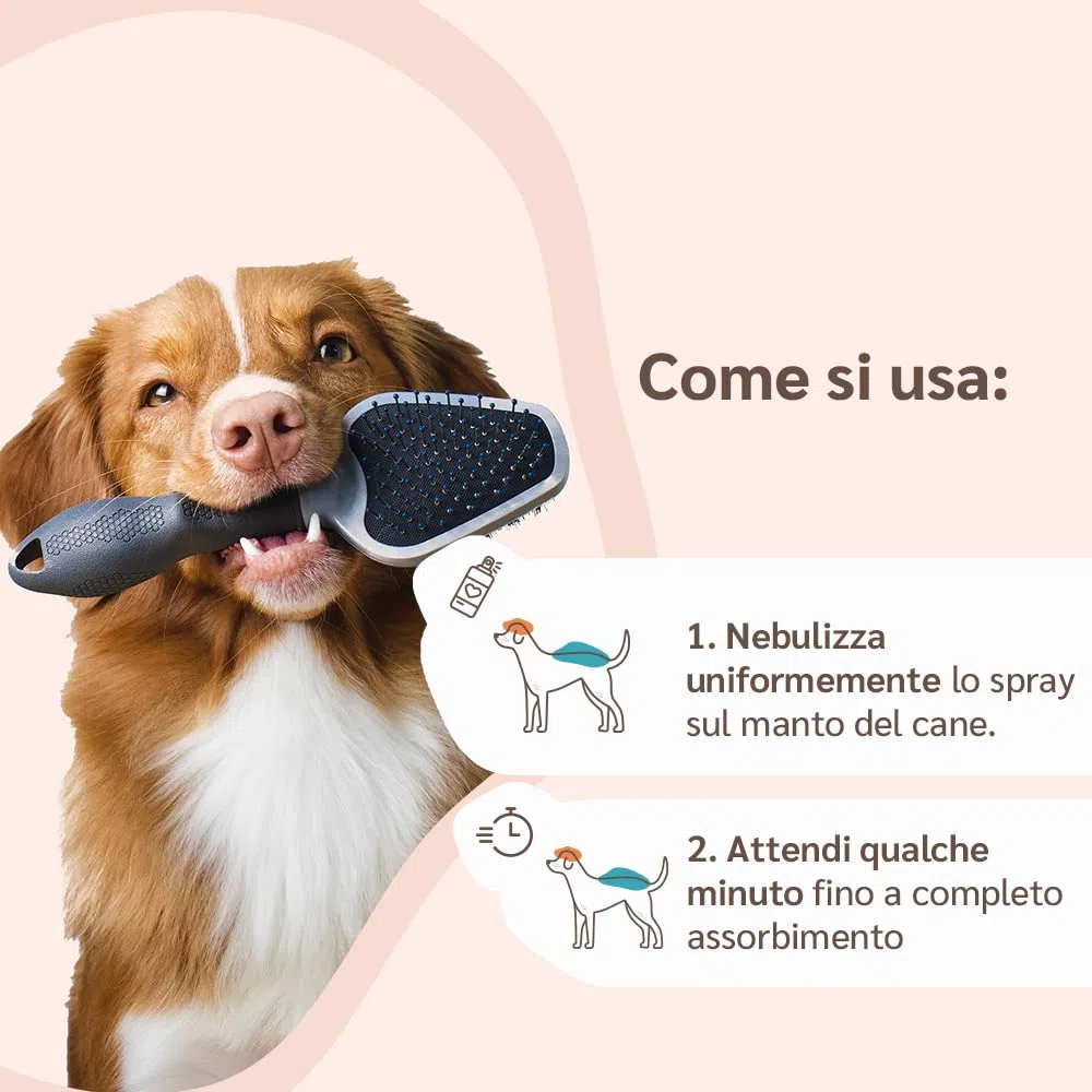 amusi Olio di Neem per Cani - 500 ml - Spray per cani - Protezione naturale - Spray contro zecche mosche acari pidocchi - Repellente zecche per cani - Olio neem cane 100% naturale
