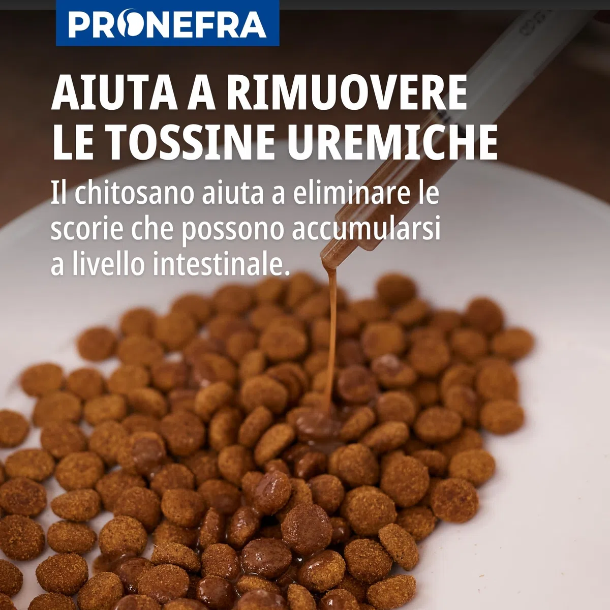Virbac Pronefra - Mangime complementare dietetico per piccoli animali, confezione da 1 (1 x 60 ml)