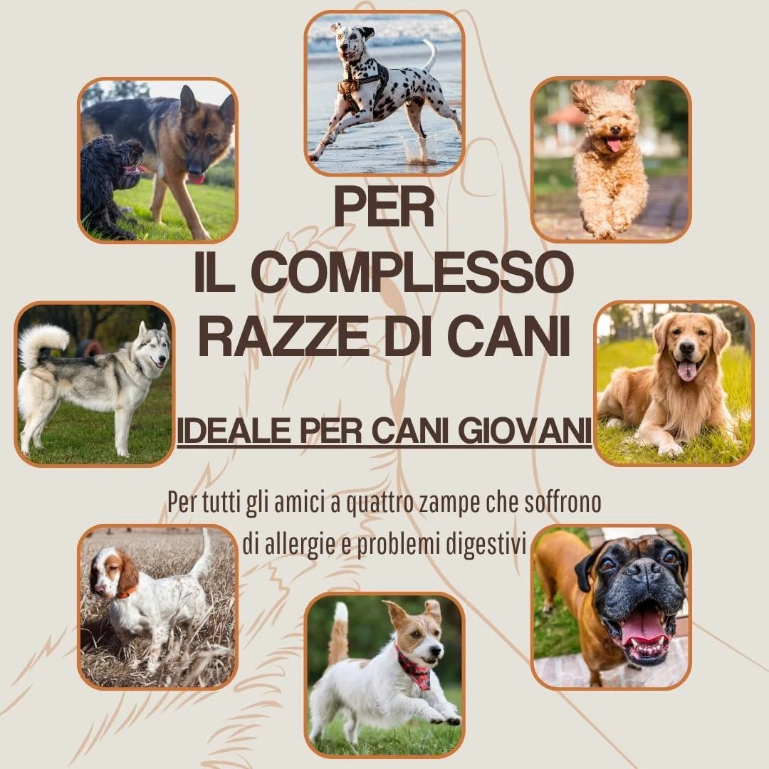 WEPO Deliziosi per cani – 1 kg di polmoni bovini secchi – snack sani per cani – Dog Treats – snack da masticare – Sano & Made in DE – Fornisce proteine, vitamine e minerali