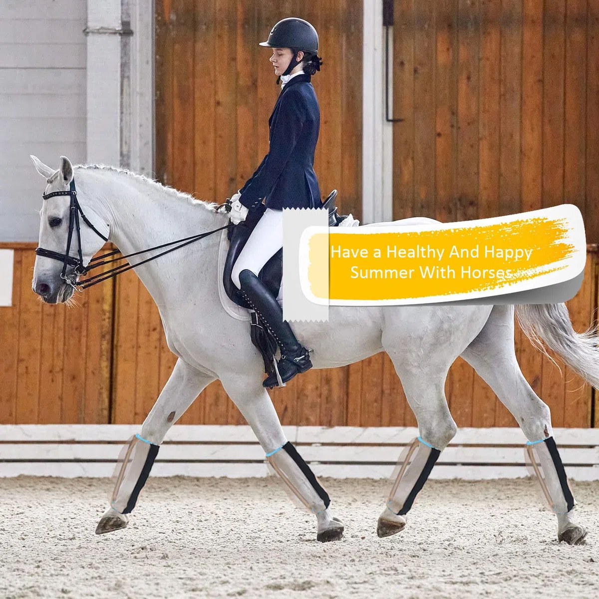 Stinchiere Cavallo Equitazione, 4 Pezzi Stivale Antimosche per Cavalli Leggings Antimosche in Rete per Cavalli professionali design traspirante Anti-Mosche Accessori per Cavalli