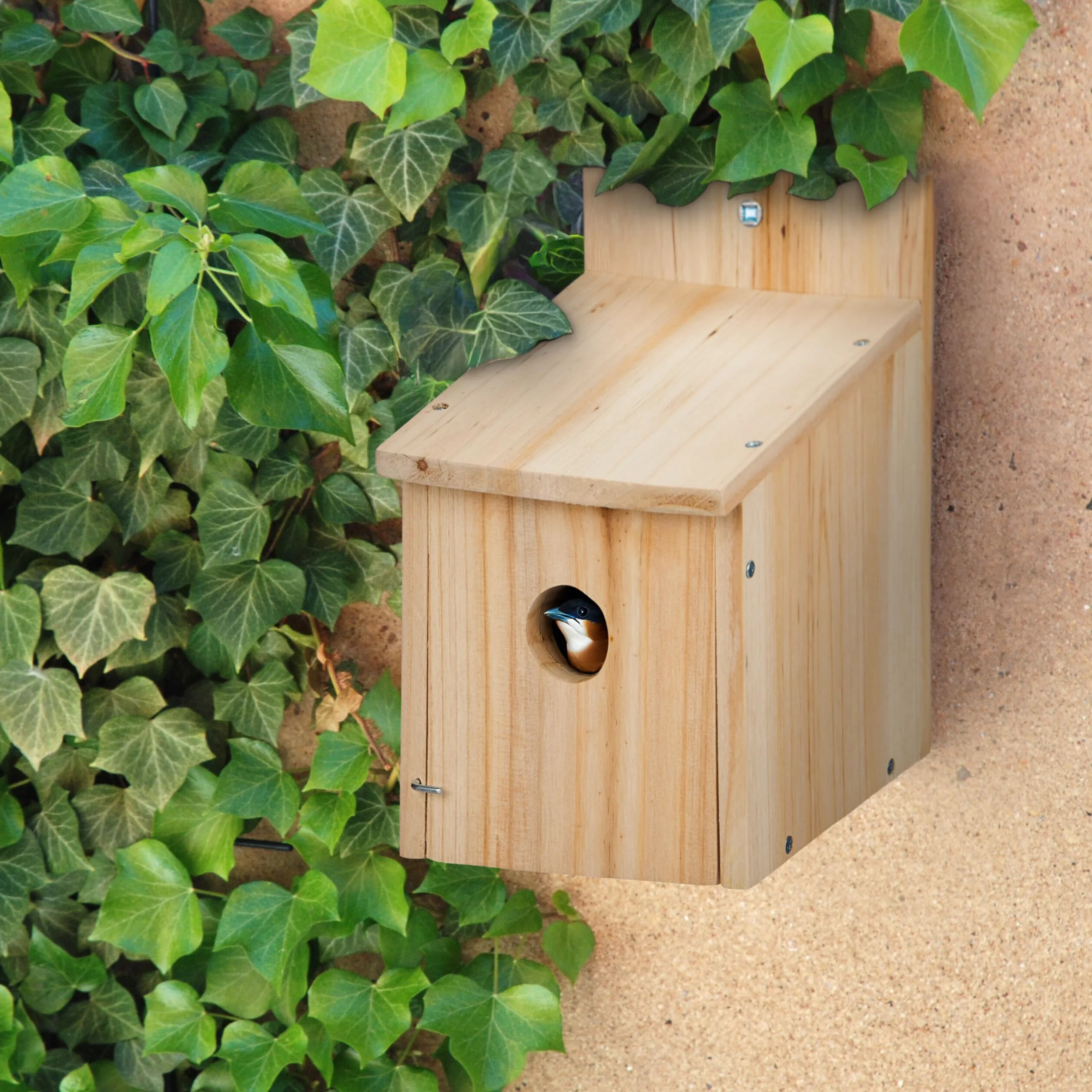 Relaxdays Casa per Uccellini, Set 2 Casette Nido Appesa in Kit DIY, Sportello, Foro 35 mm, 23x14x18 cm, Legno, Naturale