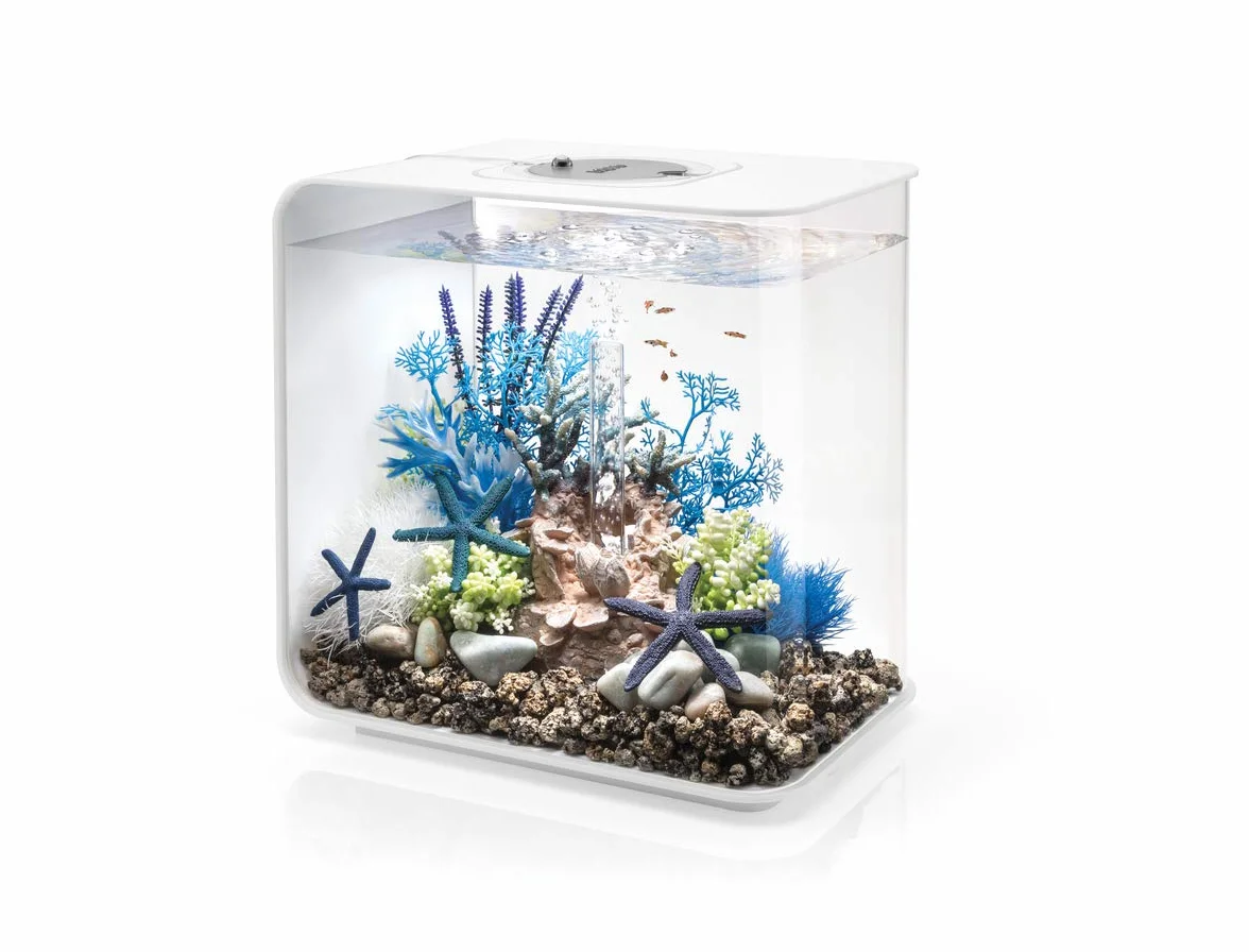 Biorb ciottoli per Feng Shui