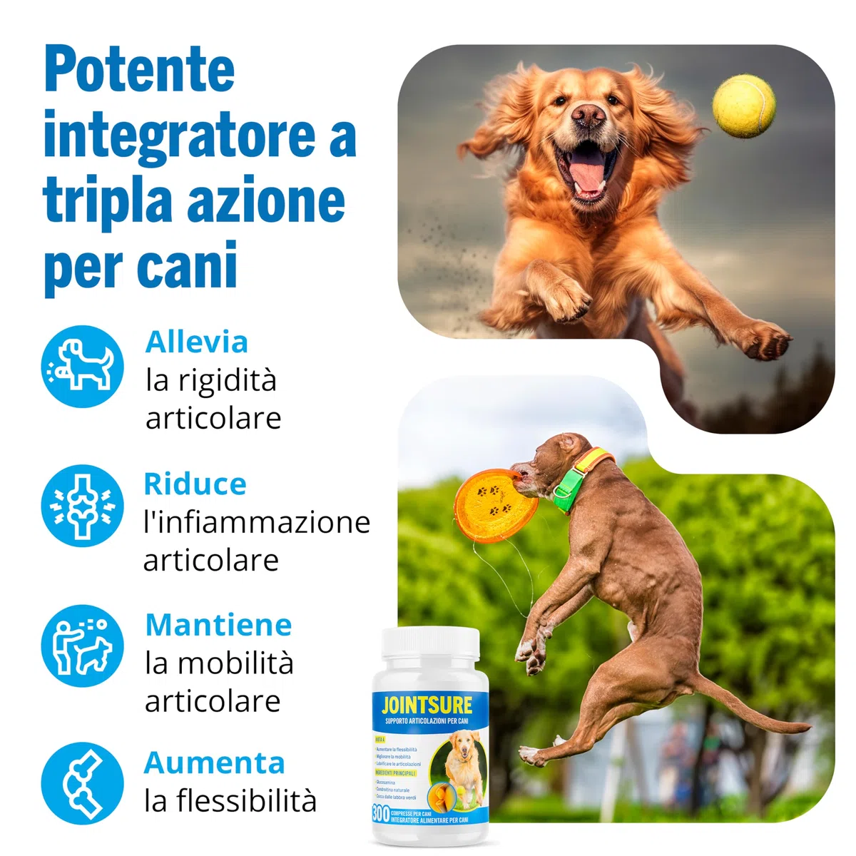 JOINTSURE Integratori per Cani Articolazioni 120 Compresse | Supporta la Mobilità e le Articolazioni di Cani Anziani e Adulti | Condoprotettori con Glucosamina, Condroitina, Cozza Verde