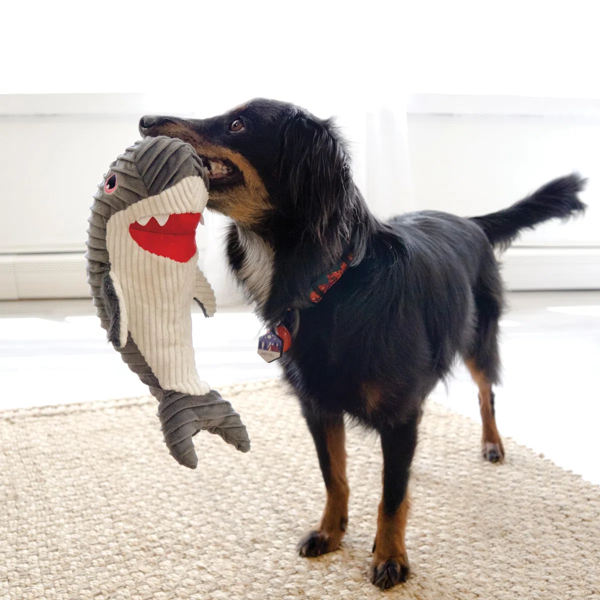 KONG Cuteseas Rufflez, morbido peluche increspato per cani (squalo)