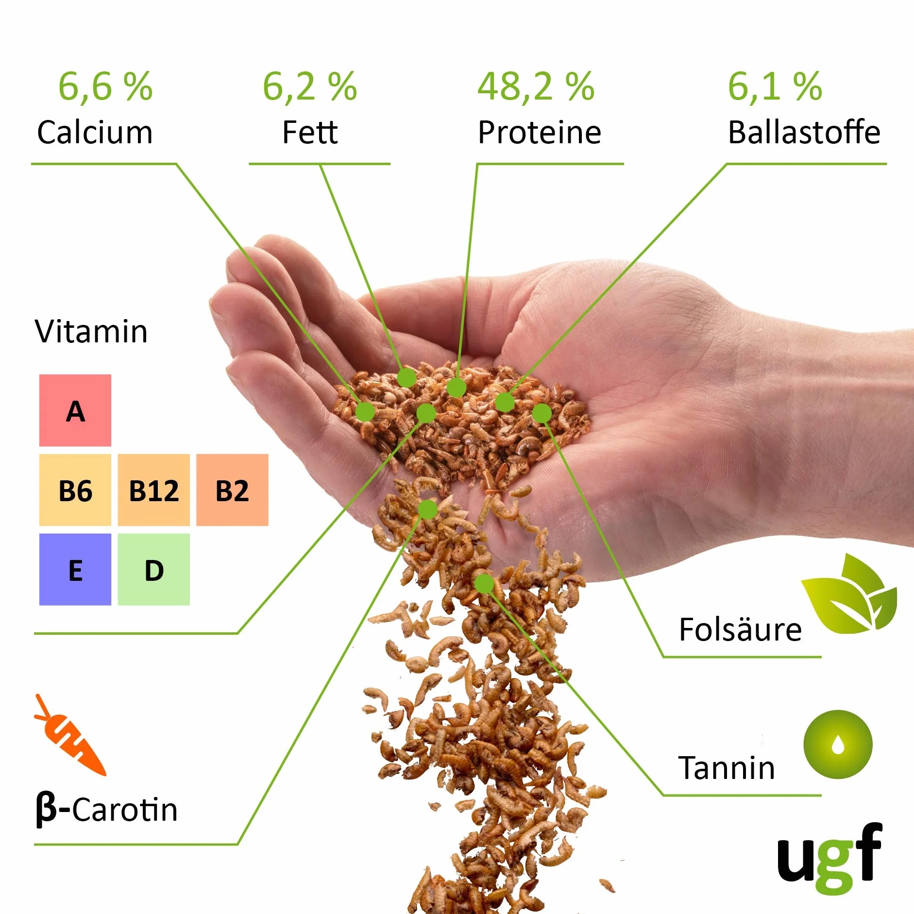 UGF - Gamberetti d'acqua dolce essiccati Premium Gammarus - 318 g in un secchio da 3 litri, cibo per tartarughe, cibo per pesci d'acquario, axolotl, criceti, ricci, koi, ratti