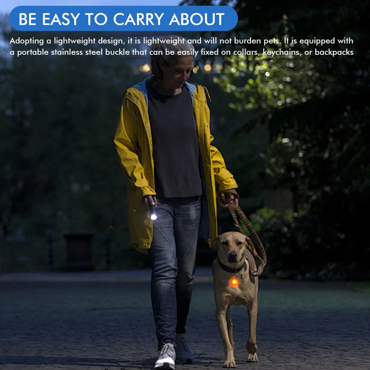 Ciondolo luminoso per cani: 14 pezzi di luce LED di sicurezza lampeggiante, 3 modalità di lampeggiamento, 7 colori di luce di sicurezza per animali domestici