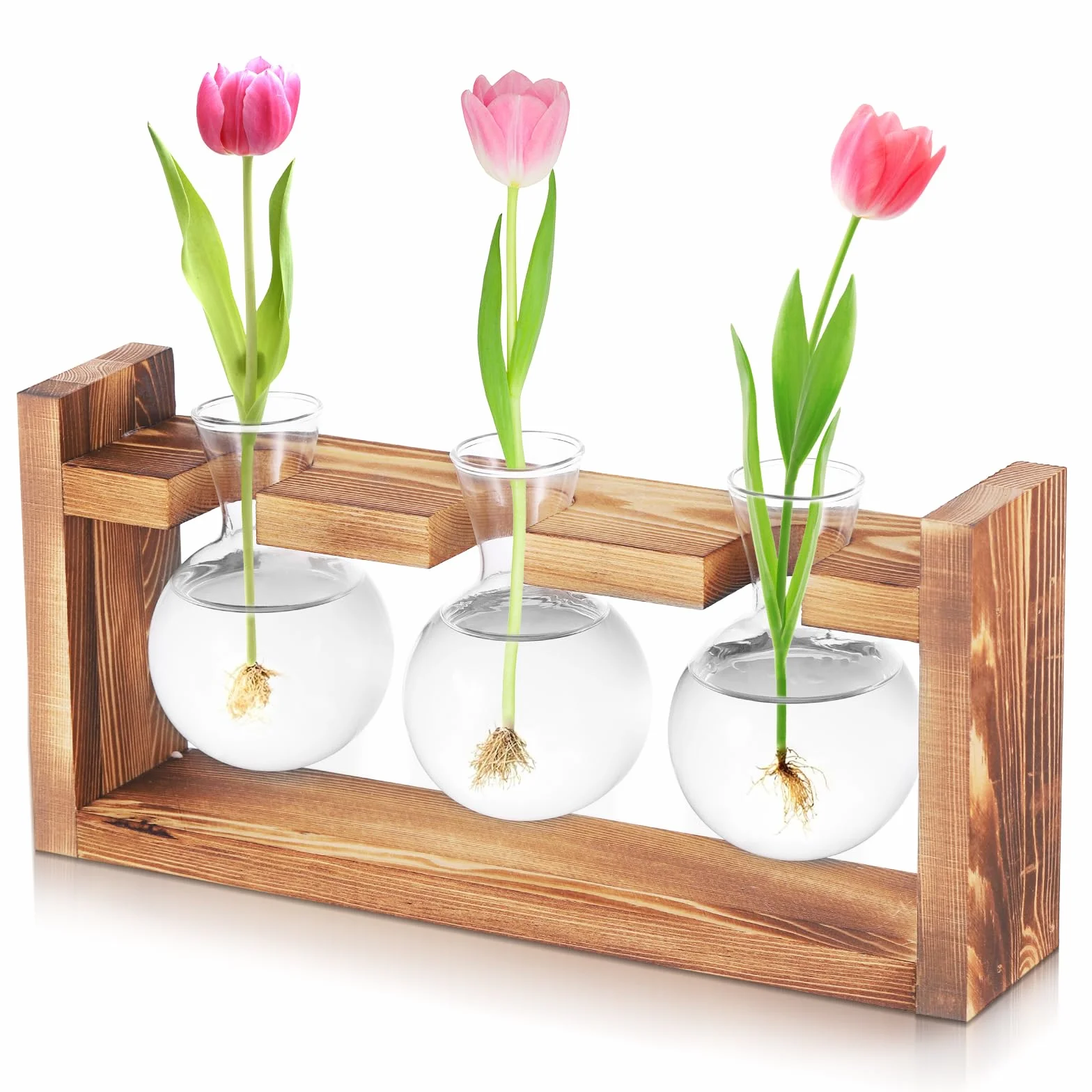 Stazione di Propagazione per Piante, Terrario in Vaso con Base in Legno, Decorazioni Eleganti per Scrivania con Piante in Terrario, Stazione di Propagazione per Talee di Fiori da Appartamento