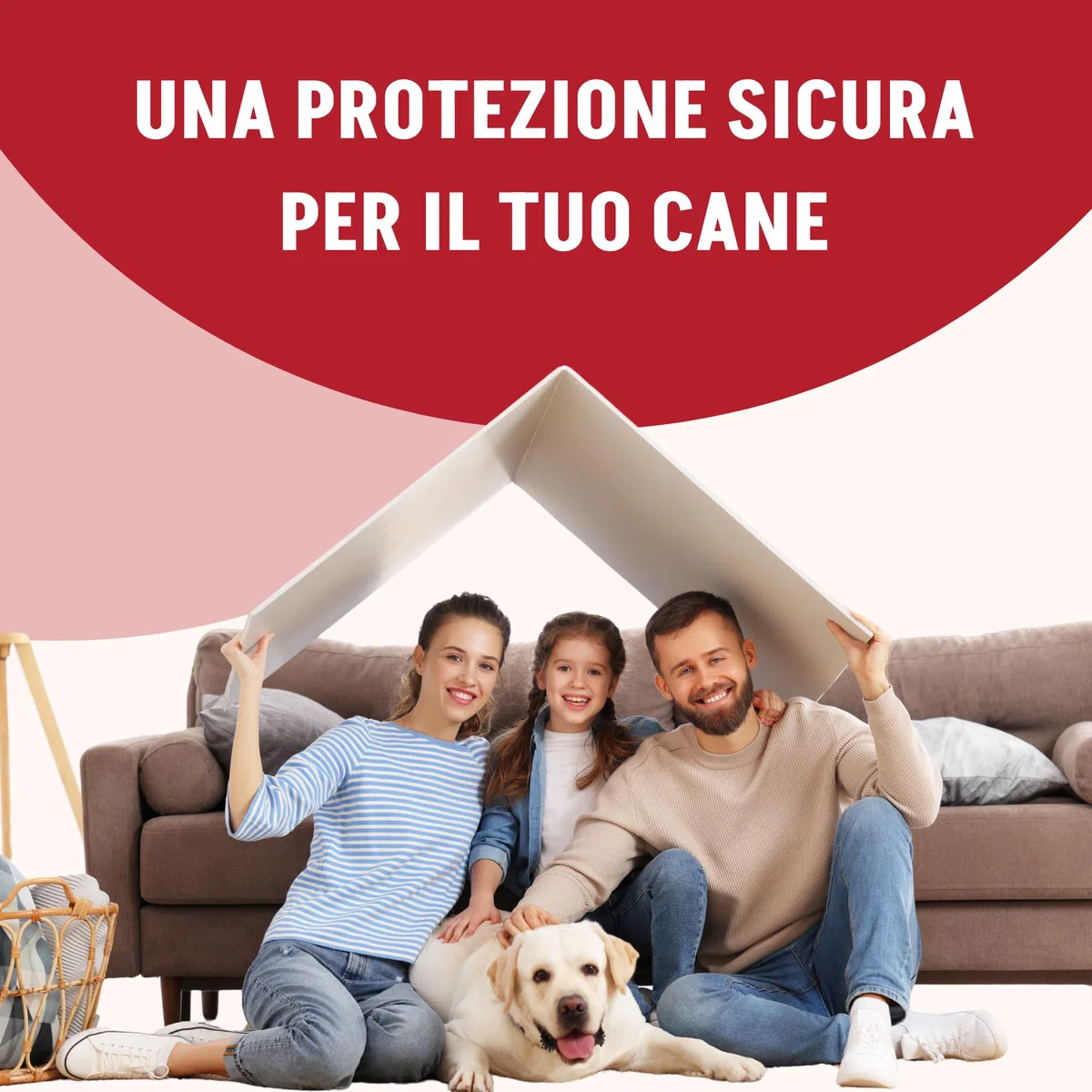 Pestigon Spot-On Pipette Antiparassitario Cani XL (40-60 kg) - Elimina Pulci e Zecche - Protezione 4 Settimane - Facile Applicazione - Antipulci e Antizecche Cane