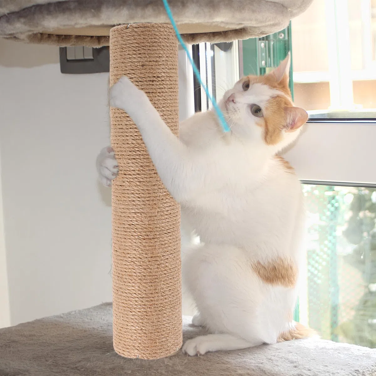 Happyyami Tiragraffi Resistente ai Graffi in Corda di Juta per Gatti Stabile e Sostituzione Facile da Pulire per Gattini Domestici