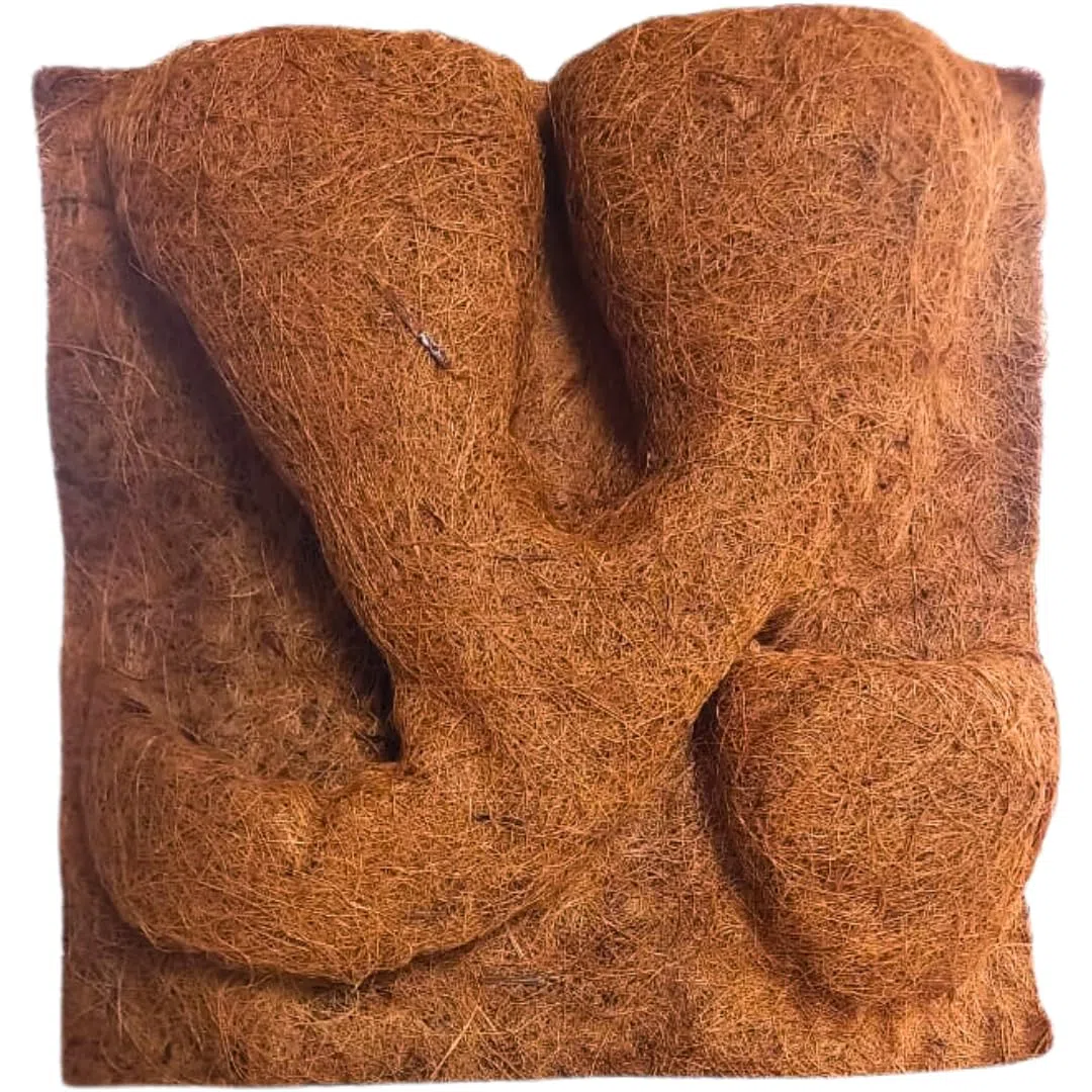 Pannello di Sfondo in Fibra di Cocco per Terrario, Decorazione Naturale per Rettili con Supporto per Piante (50x50x1 cm)