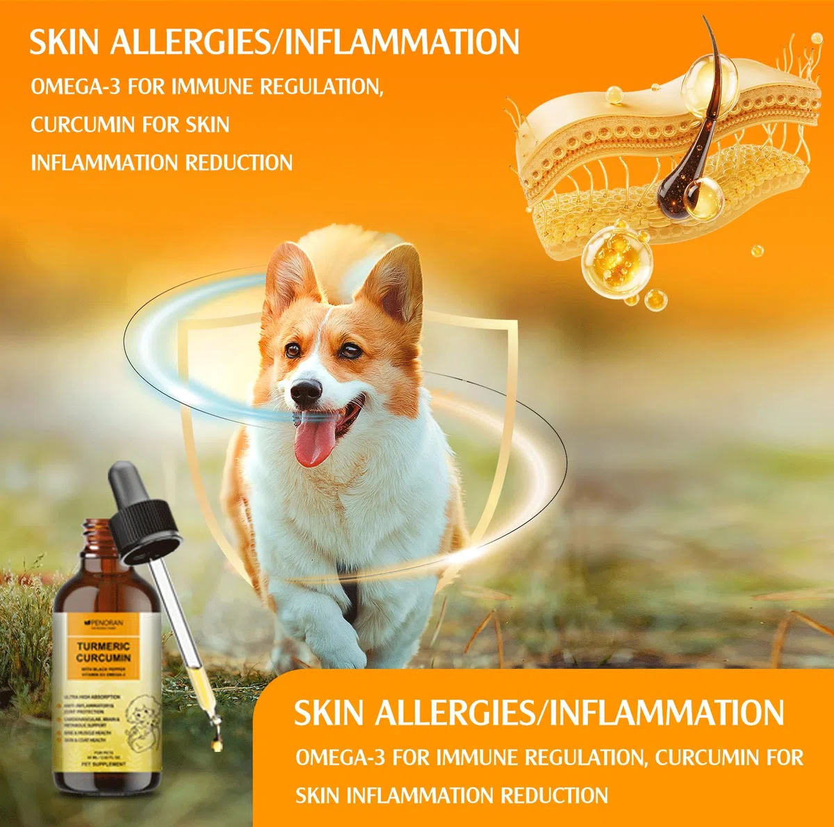 Gocce di curcumina e curcuma per cani anziani e lavoratori: Mobilità e flessibilità articolari, recupero dal dolore, digestivo, cervello, fegato, ossa, muscoli, pelle, pelo - migliore assorbimento