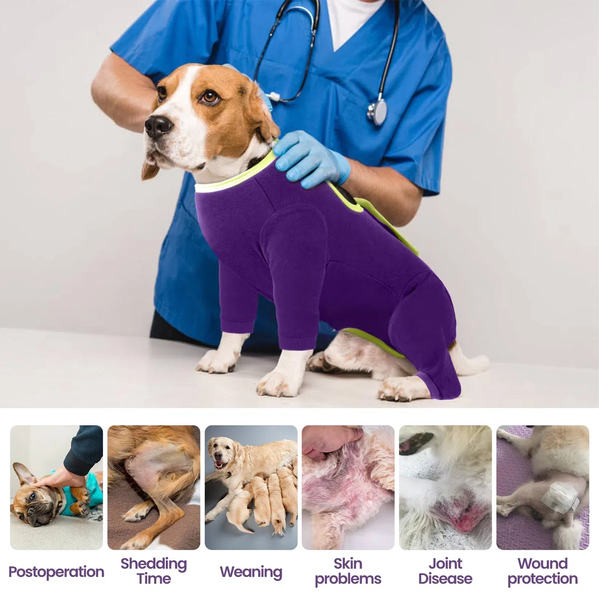 IECOii Tutina Post Operatoria Cane,Vestito di Recupero per Animali Domestici,Tuta da Recupero Cani Body Post-Operatorio Vestito Recupero Protezione per Malattie Pelle Ferite Cani Cura Chirurgica,S