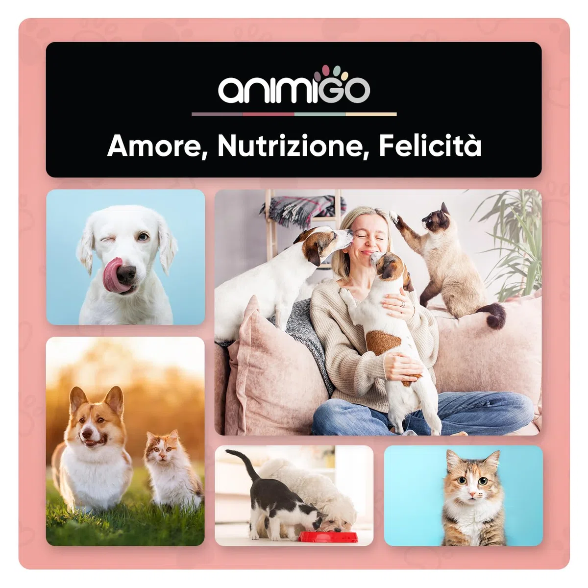 Antiparassitario per Gatti Cani 500ml, Spray Antipulci per Cani e Gatti Ricco di Oli Naturali, Antiparassitario Cane e Gatto Contro Pulci, Zecche, Pidocchi, Zanzare, Antipulci Cane e Antipulci Gatto