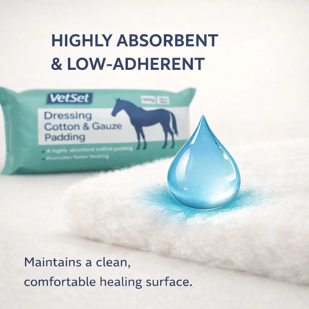 Gomitolo di cotone e garza per cavalli, 500 g, medicazione veterinaria altamente assorbente per cavalli, imbottitura di qualità ospedaliera per protezione, isolamento e guarigione VetSet