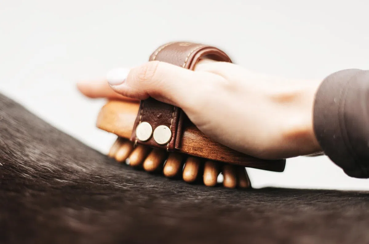 Striglia massaggiante – in legno con nodi in legno e cuscinetto in gomma flessibile | Massaggio efficace, stimolazione circolazione e cura benessere per cavalli