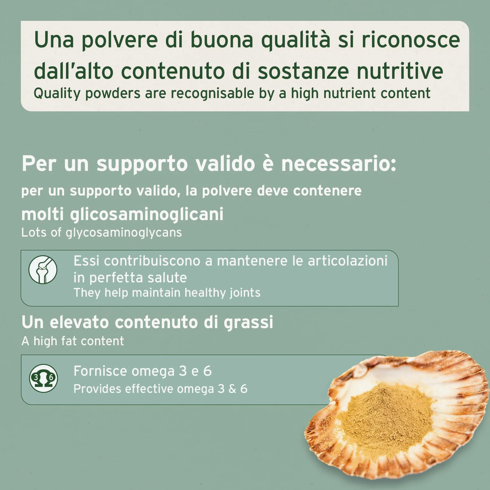 AniForte Polvere di cozze dalle labbra verdi per Cani e Gatti 100g - Polvere naturale di cozze dalle labbra verdi in qualità di grasso completo, glicosaminoglicani, supporta le funzioni articolari