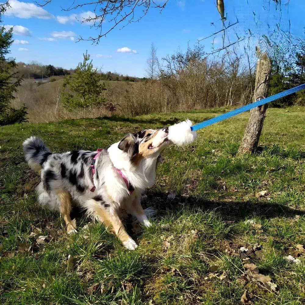 DINGO giocattolo per cani - cacciatore di pelle di pecora con piombo lungo blu 130 cm, agilità motivazione ricompensa rimorchiatore per allenamento e divertimento 15583