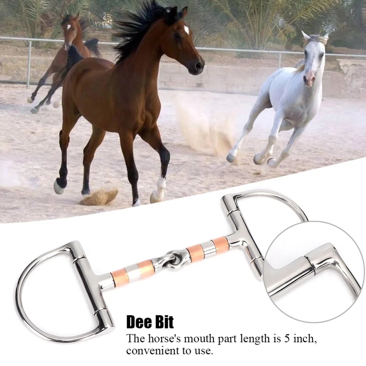 Morso per Cavallo con Bocca filettata ad Anello a D in Acciaio Inossidabile, morso per Cavallo con Bocca snodata a Rullo in Rame in Acciaio Inossidabile