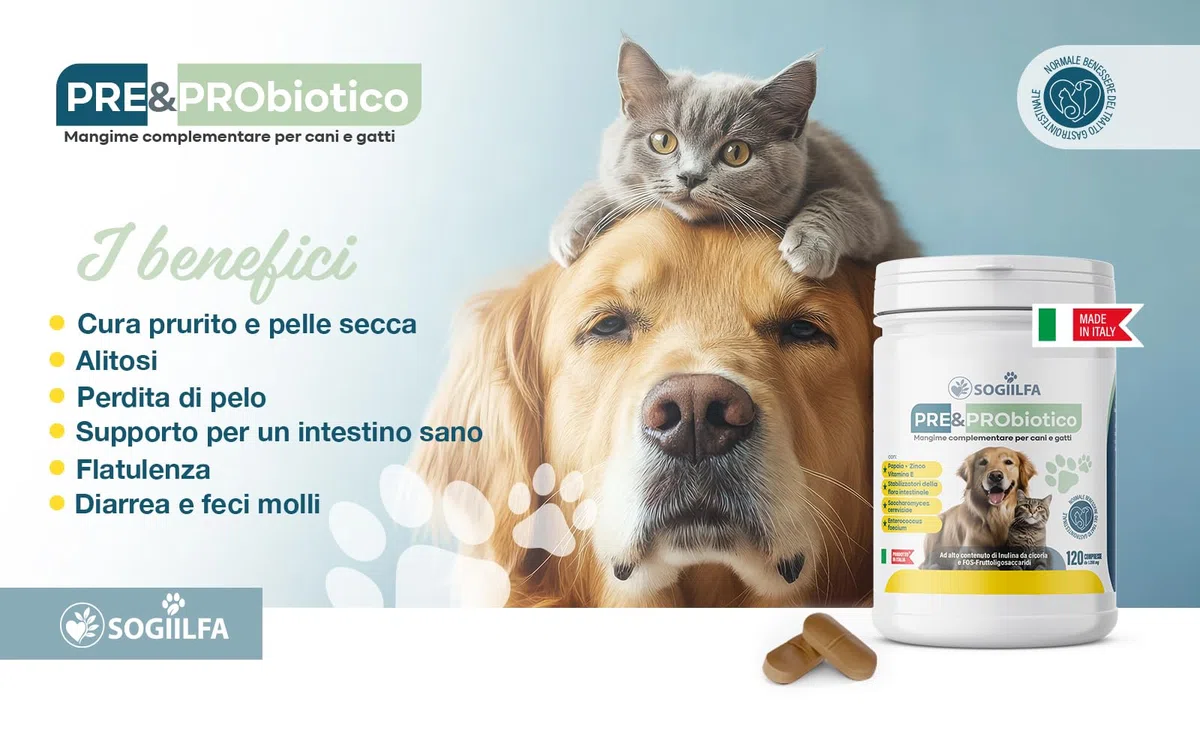 Fermenti lattici cani 120 pz probiotici per cani e gatti, probiotici per intestino con Enzimi digestivi vivi.Probiotico per cani e gatti naturale rilassante. Pastiglie cane per prurito e dermatite