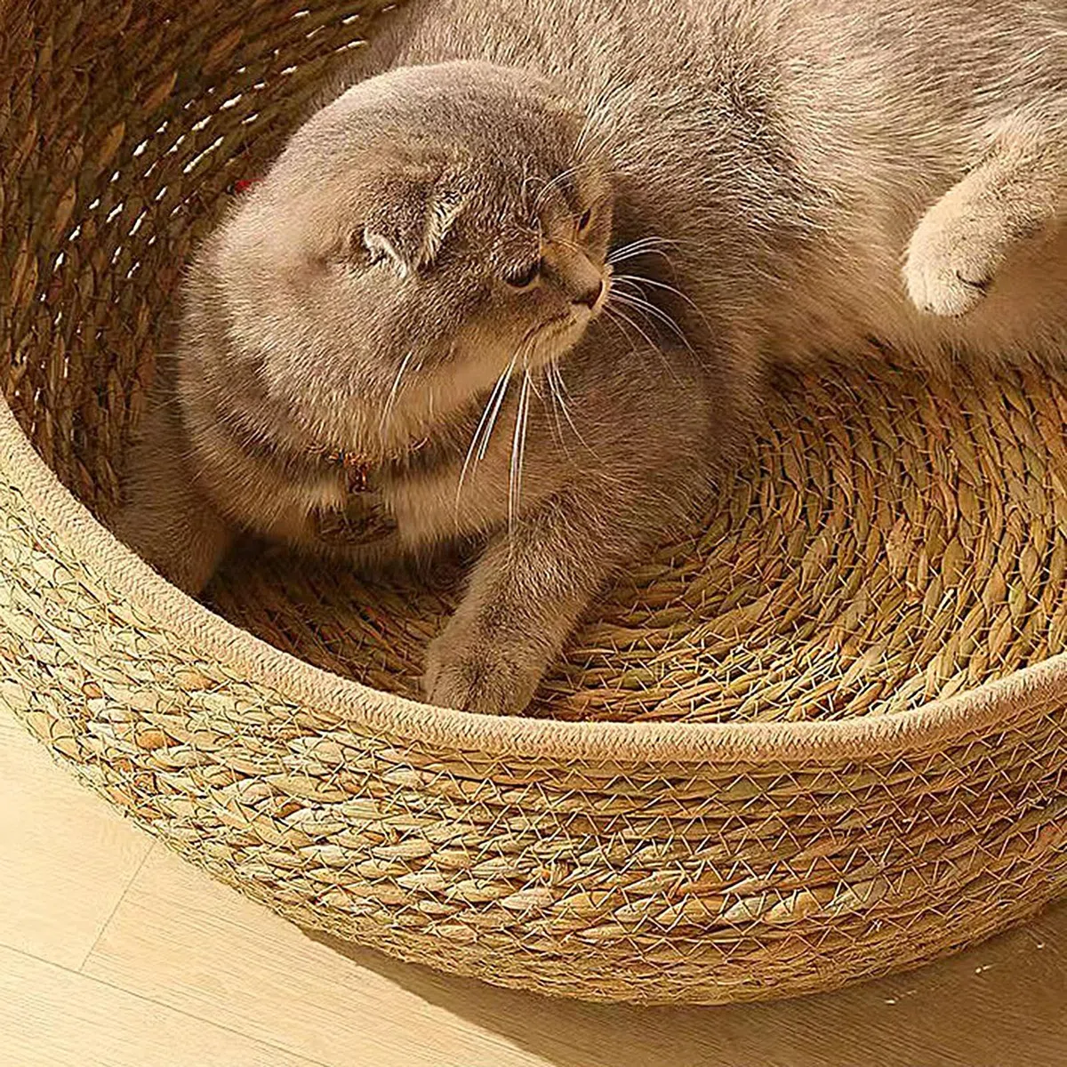 Cuccia per gatti in rattan, 35 cm, rotonda, in rattan fatto a mano, con in cotone, per tutte le stagioni